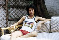 Freddie Mercury Poster Z1G1135936