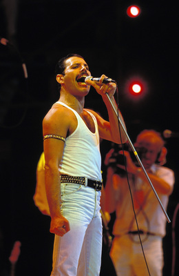 Freddie Mercury Poster Z1G1136040