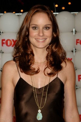 Sarah Wayne Callies poster