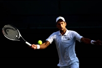 Novak Djokovic Sweatshirt #2137503