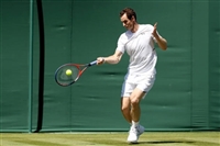 Andy Murray Poster Z1G1602555