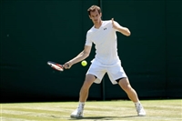 Andy Murray Poster Z1G1602559