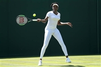 Venus Williams tote bag #Z1G1603313