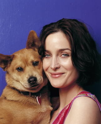 Carrie-anne Moss Poster Z1G1605766