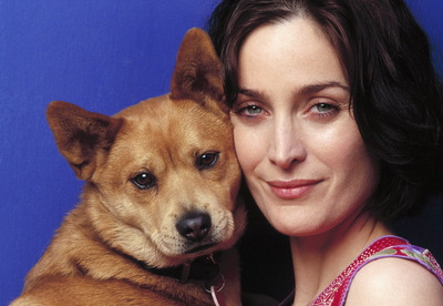Carrie-anne Moss Poster Z1G1605767