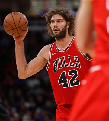 Robin Lopez posters