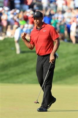 Tiger Woods tote bag #Z1G1746904