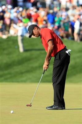 Tiger Woods tote bag #Z1G1746918