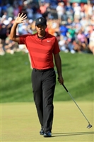 Tiger Woods hoodie #2288282