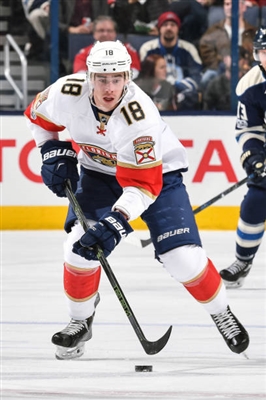 Reilly Smith poster