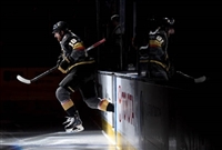 James Neal Poster Z1G1807692