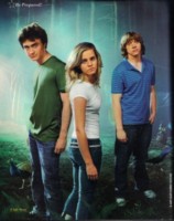 Emma Watson Longsleeve T-shirt #243211