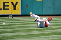 Mike Trout Poster Z1G2575944