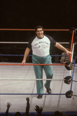 AndrÃ© The Giant Tank Top