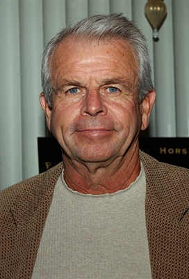 William Devane poster