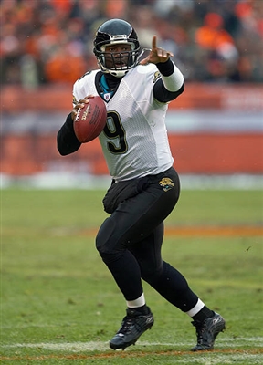 David Garrard poster