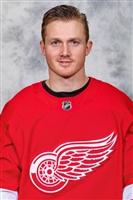 Gustav Nyquist Mouse Pad Z1G2648208