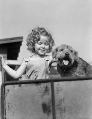 Shirley Temple Poster Z1G311361