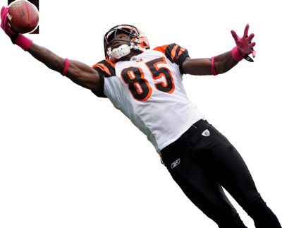 Chad Ochocinco mouse pad