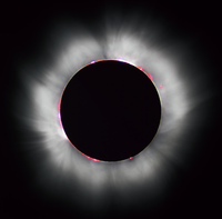 Eclipse Poster Z1G316333