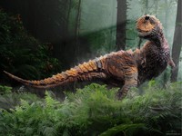 Dinosaur Poster Z1G316579