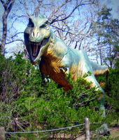 Dinosaur Poster Z1G316700