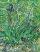 Van Gogh Poster Z1G317051