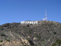 Hollywood hoodie #710055