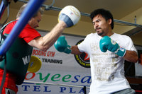 Manny Pacquiao Poster Z1G317894