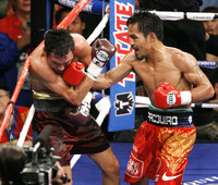 Manny Pacquiao Poster Z1G317899