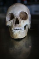 Skull tote bag #Z1G318126