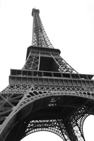 Eiffel Tower Poster Z1G318415