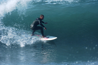 Surfing Poster Z1G321939