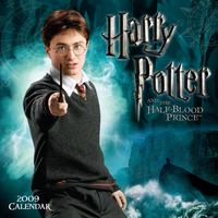 Harry Potter Poster Z1G322149