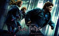 Harry Potter Poster Z1G322154