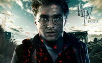 Harry Potter Poster Z1G322160