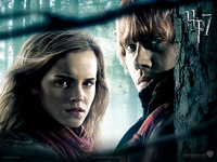 Harry Potter Poster Z1G322161