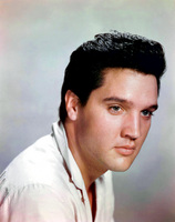 Elvis Presley Poster Z1G322792
