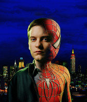 Tobey Maguire Poster Z1G323964