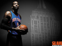 Amare Stoudemire Poster Z1G328657