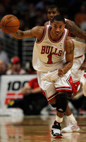 Derrick Rose Poster Z1G329096