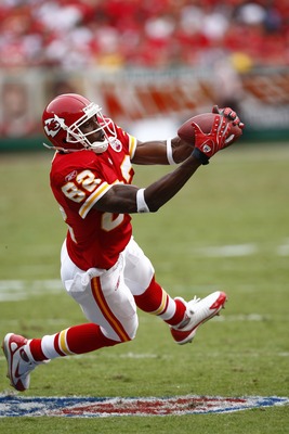 Dwayne Bowe Poster Z1G330487