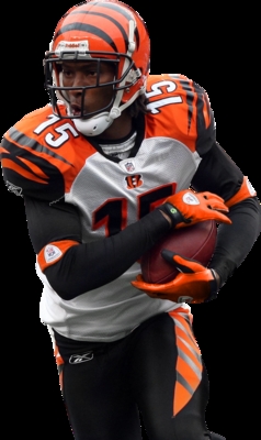 Chris Henry mouse pad