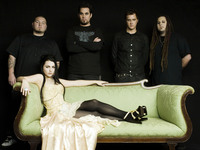 Amy Lee & Evanescence Promos t-shirt #Z1G331939