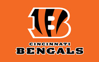 Cincinnati Bengals Poster Z1G332923
