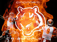 Cincinnati Bengals Poster Z1G332924