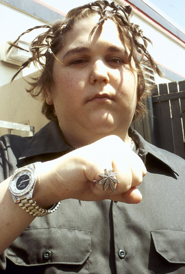 Andy Milonakis Poster Z1G334024