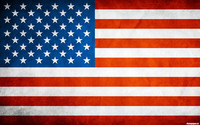 American Flag hoodie #755902