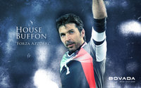 Gianluigi Buffon Poster Z1G335140