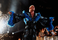 Ric Flair Poster Z1G336968